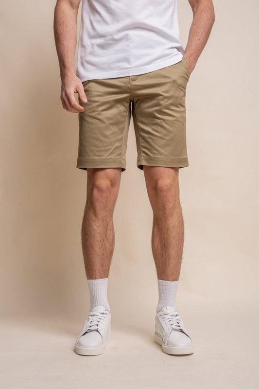 Stone Dakota Chino Shorts - divinusestablishment